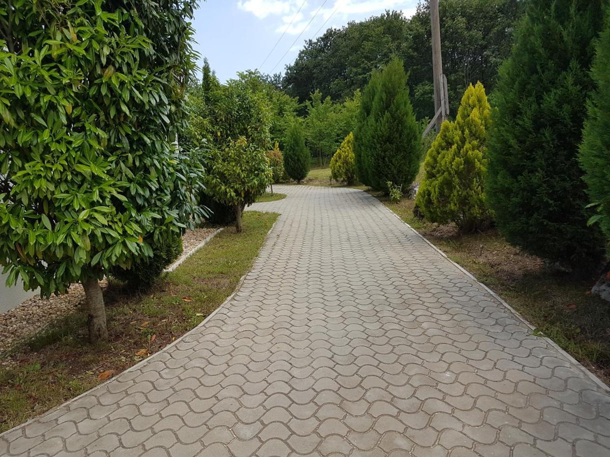 Zlaten Briz Villa Osenovo Zewnętrze zdjęcie
