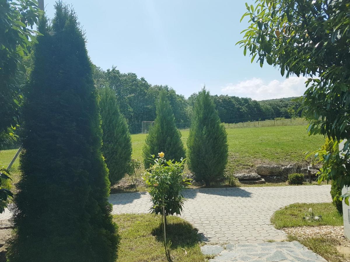 Zlaten Briz Villa Osenovo Zewnętrze zdjęcie